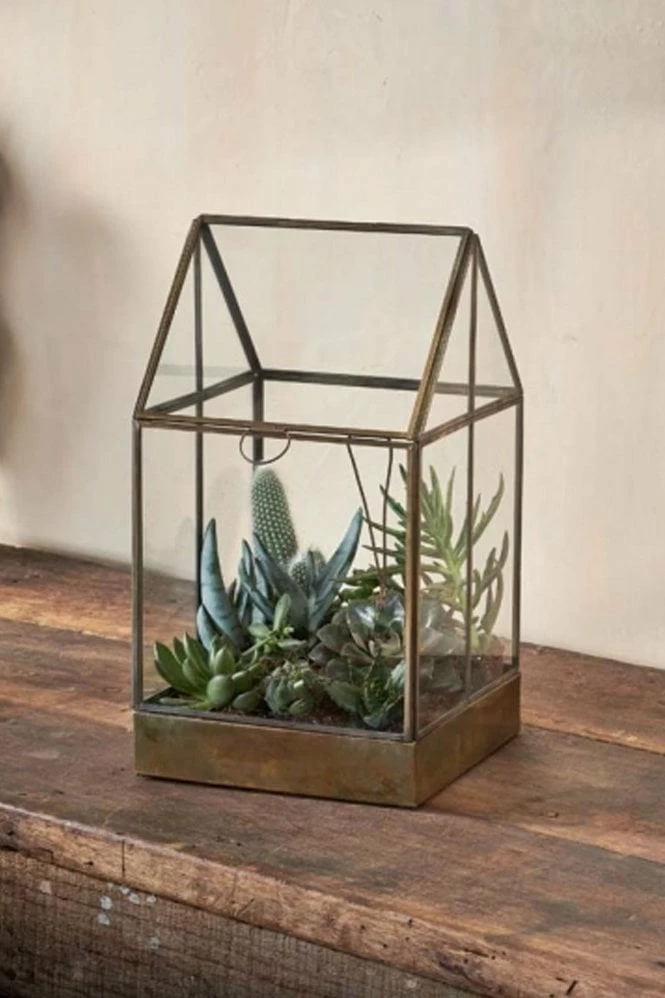 Nkuku Sampara Terrarium 1 Nkuku Sampara Terrarium
