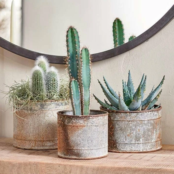 Nkuku Abari Small Planter 2 Nkuku Abari Small Planter