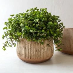 Nkuku Wampu Wide Planter - Small Distressed Terracotta