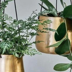 Nkuku Atsu Brass Hanging Planter In Antique Brass