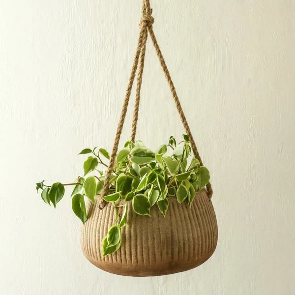 Nkuku Wampu Hanging Planter Distressed Terracotta Large 4 Nkuku Wampu Hanging Planter Distressed Terracotta Large