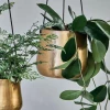 Nkuku Atsu Brass Hanging Planter - Large