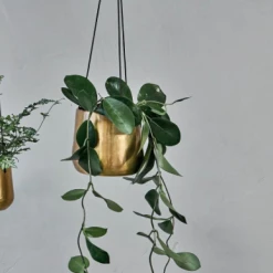 Nkuku Atsu Hanging Planter
