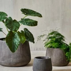 Nkuku Small Wampu Wide Planter In Brown Black