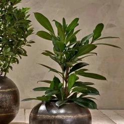 Nkuku Endo Reclaimed Iron Globe Planter