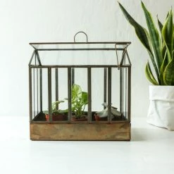 Nkuku Telaga Antique Brass Terrarium Small