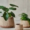 Nkuku Small Terracotta Wampu Wide Planter