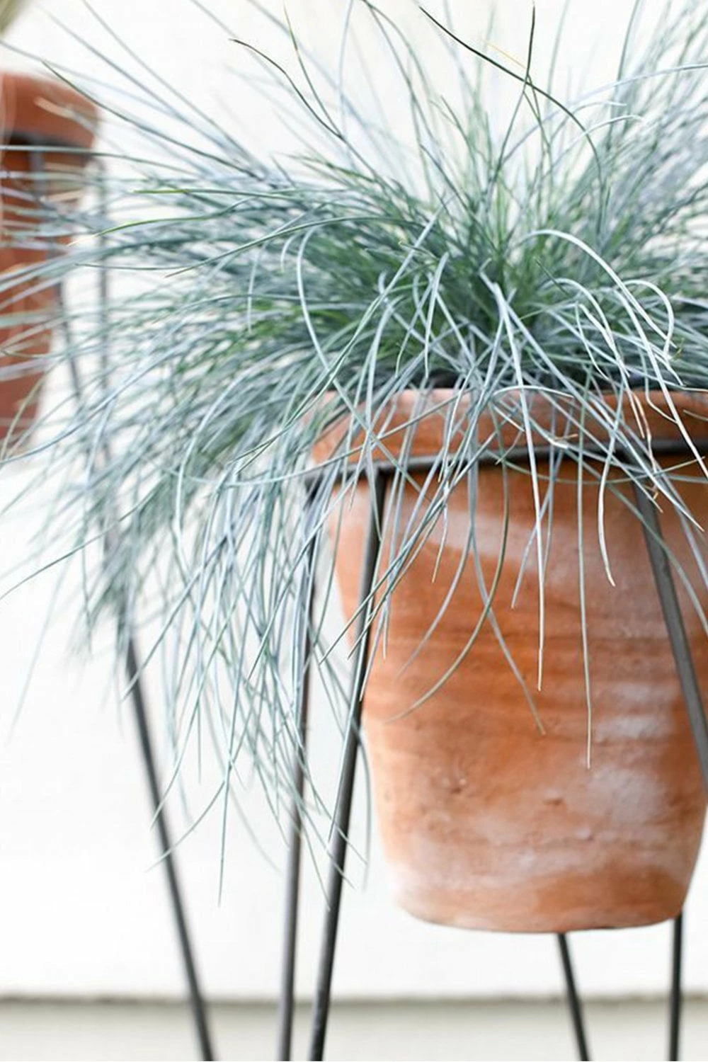 Nkuku Jara Terracotta Planter with Stand 3 Nkuku Jara Terracotta Planter with Stand