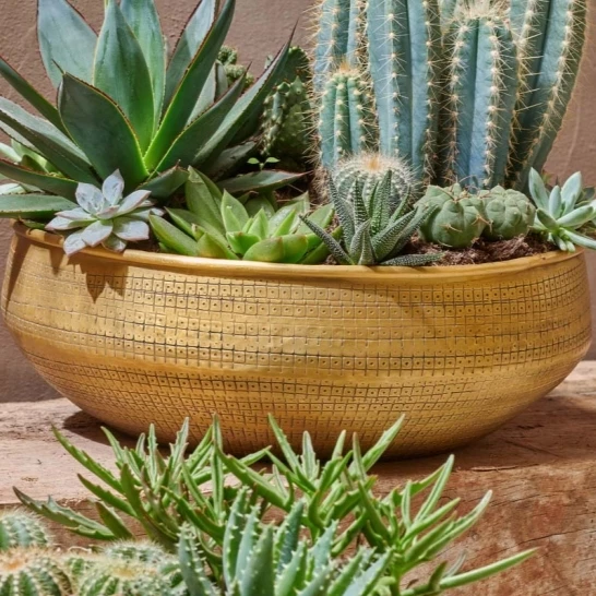 Nkuku Tembesi Etched Round Planter Bowl - Medium 3 Nkuku Tembesi Etched Round Planter Bowl - Medium