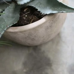 Nkuku Affiti Clay Planter By 7 Nkuku Affiti Clay Planter By