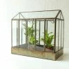 Nkuku Telaga Antique Brass Terrarium Large