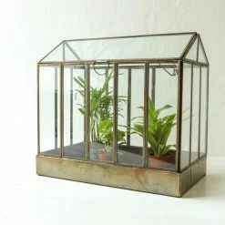 Nkuku Telaga Antique Brass Terrarium Large