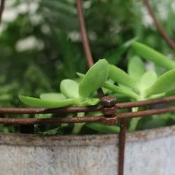 Nkuku Abari Caged Hanging Planter