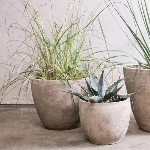 Nkuku Affiti Clay Planter By 5 Nkuku Affiti Clay Planter By