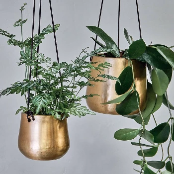 Nkuku Large Atsu Brass Hanging Planter 3 Nkuku Large Atsu Brass Hanging Planter