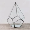 Nkuku Small Pyramid Terrarium