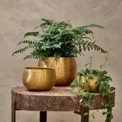 Nkuku Atsu Brass Planter - Large