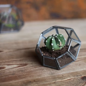 Nkuku Aketa Zinc Terrarium - Small Planter 4 Nkuku Aketa Zinc Terrarium - Small Planter