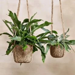 Nkuku Sangdi Seagrass Hanging Planter - Small 3 Nkuku Sangdi Seagrass Hanging Planter - Small