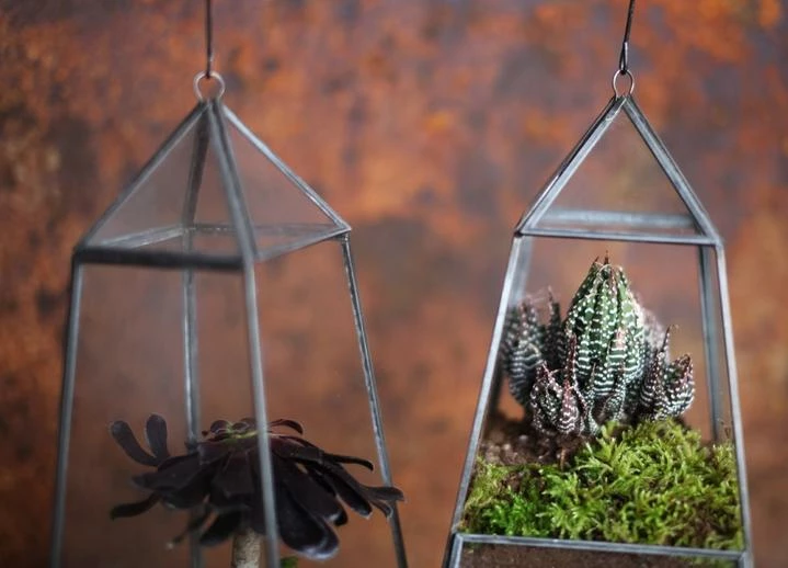 Nkuku Small Aculo Hanging Planter 6 Nkuku Small Aculo Hanging Planter