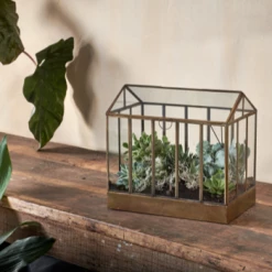 Nkuku Telaga Display Antique Brass Terrarium - Smalll