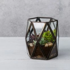 Nkuku Black Metal & Glass Geometric Terrarium