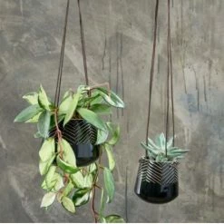 Nkuku Small Kavari Ceramic Hanging Planter