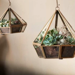 Nkuku Mina Hanging Terrarium