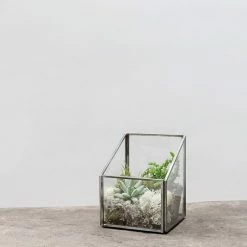 Nkuku Mini Asymmetric Cube Terrarium 5 Nkuku Mini Asymmetric Cube Terrarium