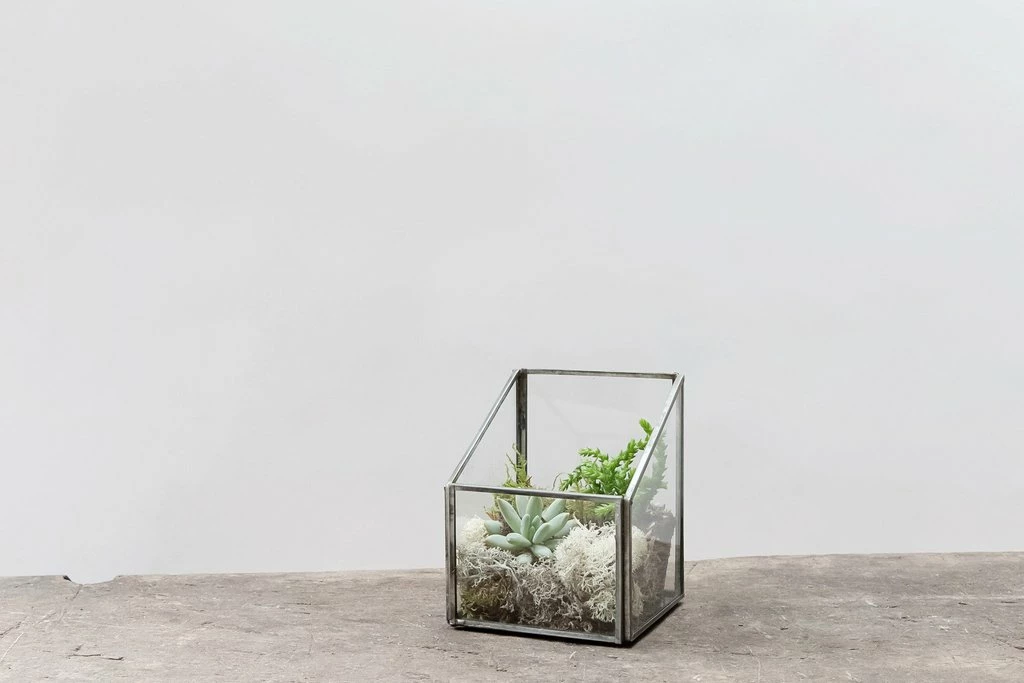 Nkuku Mini Asymmetric Cube Terrarium 3 Nkuku Mini Asymmetric Cube Terrarium