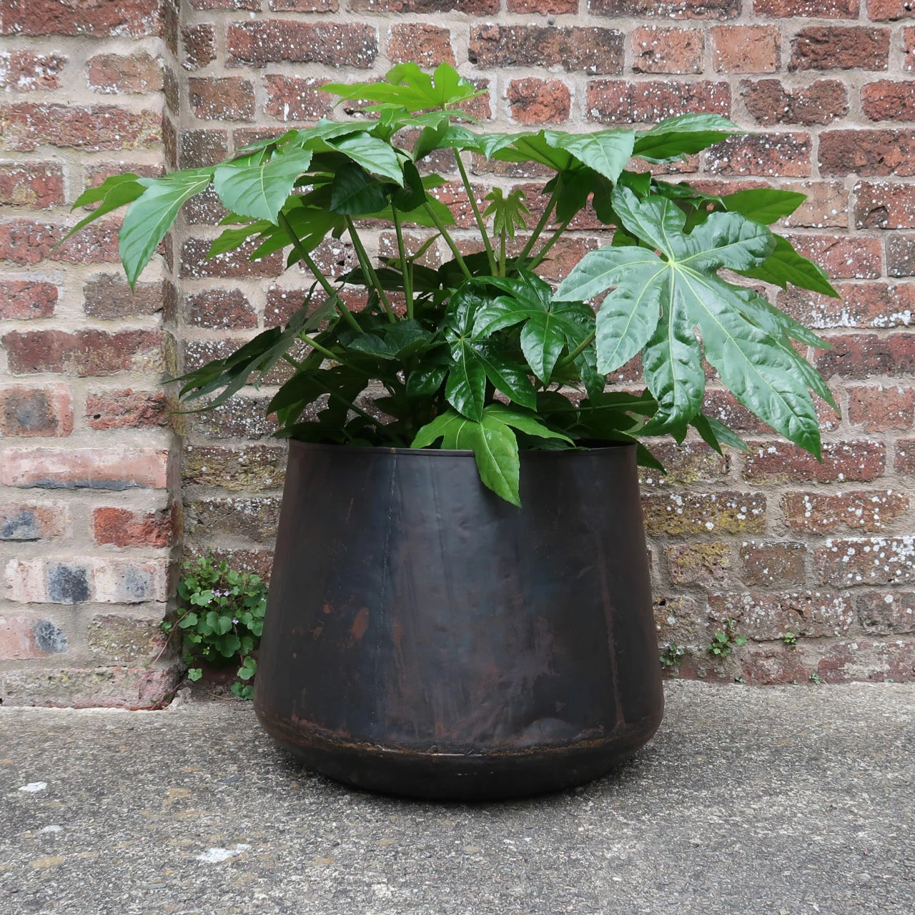 Nkuku Endo Reclaimed Iron Planter - Large 6 Nkuku Endo Reclaimed Iron Planter - Large
