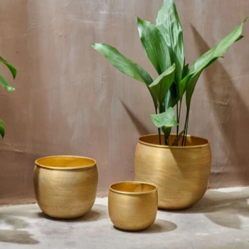 Nkuku Tembesi Etched Planter - Antique Brass - Medium 2 Nkuku Tembesi Etched Planter - Antique Brass - Medium