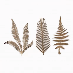 Nkuku Kiko Brass Foliage Artwork