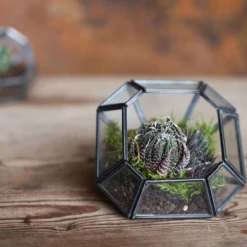 Nkuku Aketa Zinc Terrarium - Small Planter 9 Nkuku Aketa Zinc Terrarium - Small Planter
