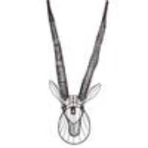 Nkuku Eko Wire Antelope Head 1 Nkuku Eko Wire Antelope Head