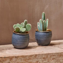 Nkuku Tembesi Etched Planter - Antique Black and Brass - Set of 2