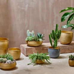 Nkuku Small Antique Brass Tembesi Etched Planter