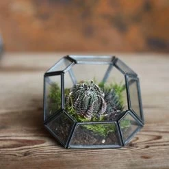 Nkuku Aketa Planter 9 Nkuku Aketa Planter